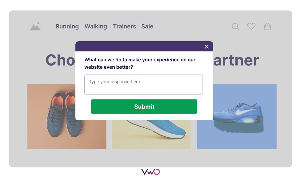 Open Ended Survey - VWO